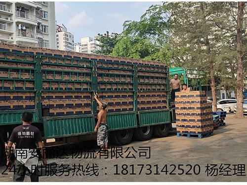 &#20048;&#40060;&#32593;&#39029;&#29256;&#45;&#20048;&#40060;&#40;&#20013;&#22269;&#41;